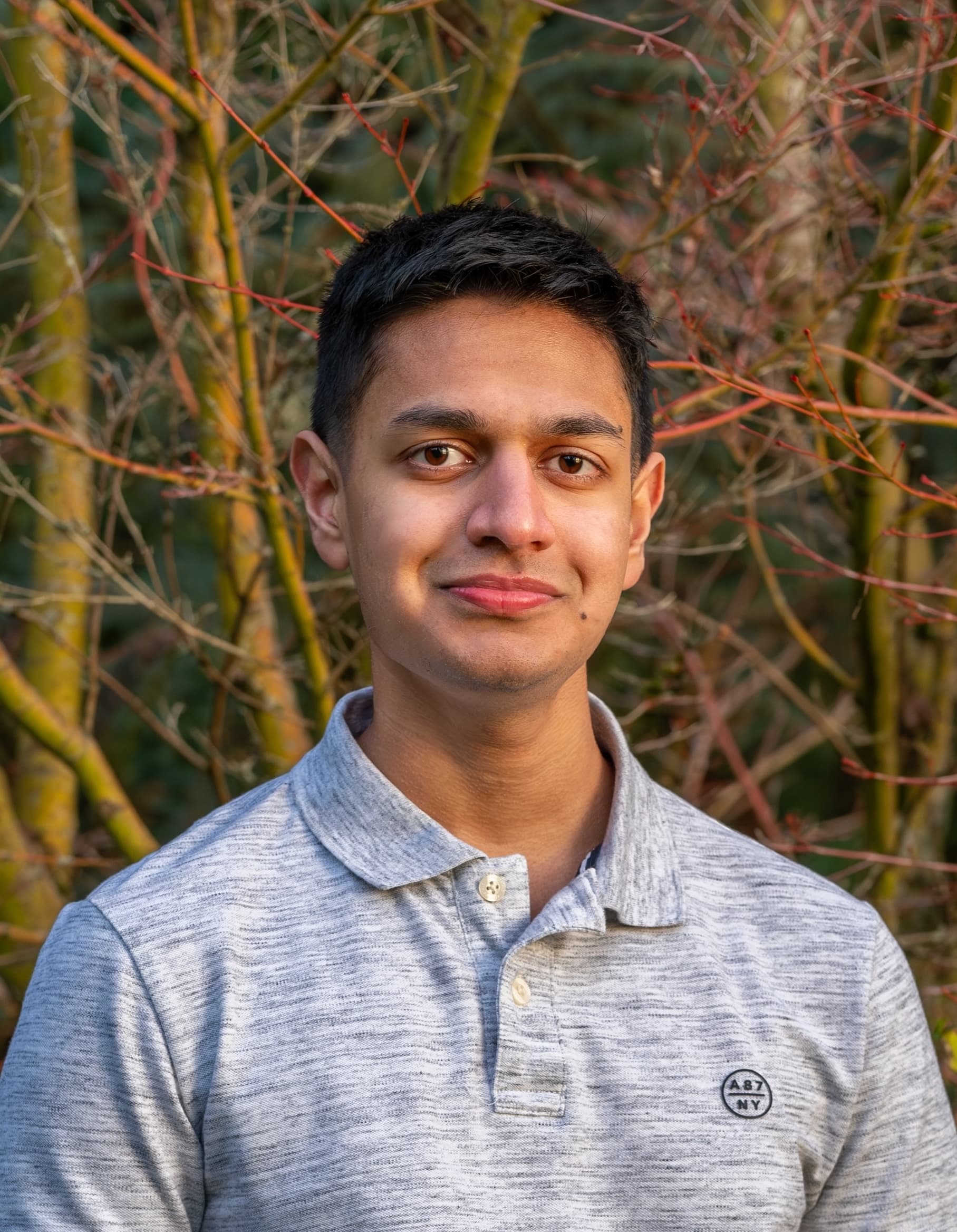 Portrait of Vedant Mahawar